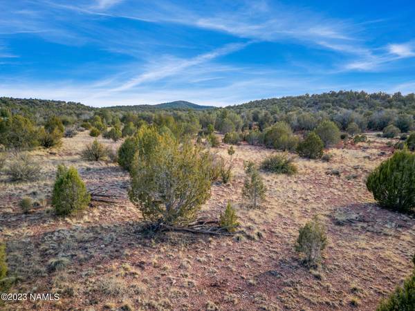 0 W Ricardas Way #153,  Ash Fork,  AZ 86320