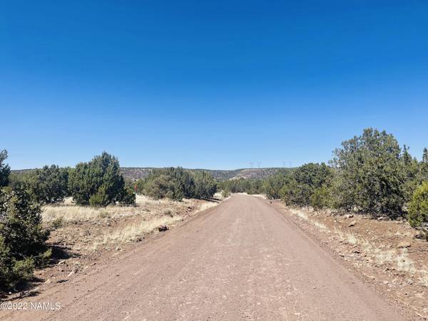 Williams, AZ 86046,1227 E Forest Service Rd 736