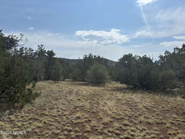 Williams, AZ 86046,0 500-16-012e