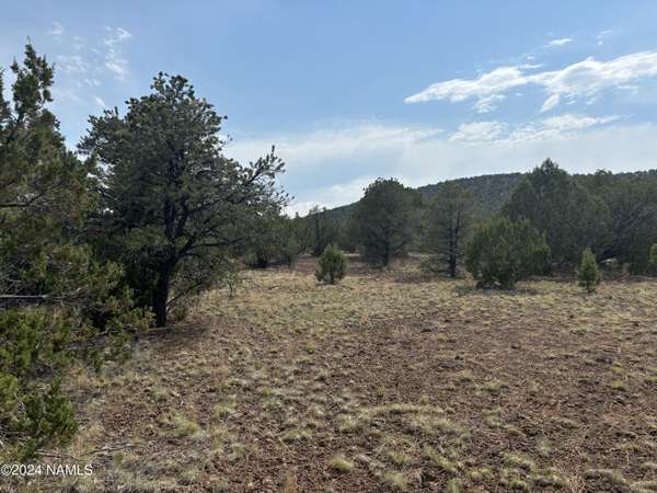 Williams, AZ 86046,0 500-16-012e