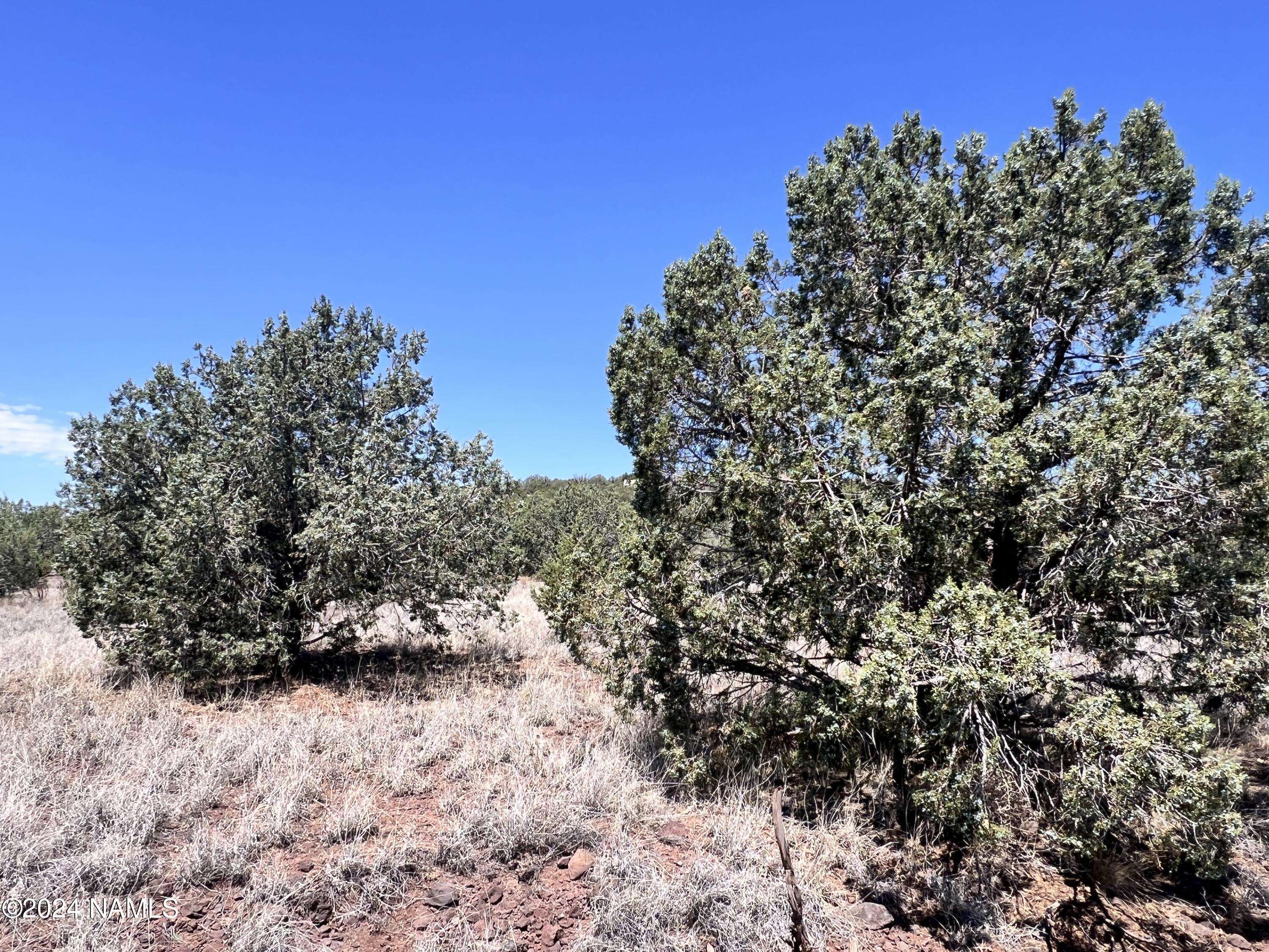 Ash Fork, AZ 86320,3320 N Desoto Lane