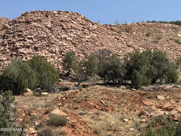 Ash Fork, AZ 86320,21 Parcel 205-20-021 Pineveta Road