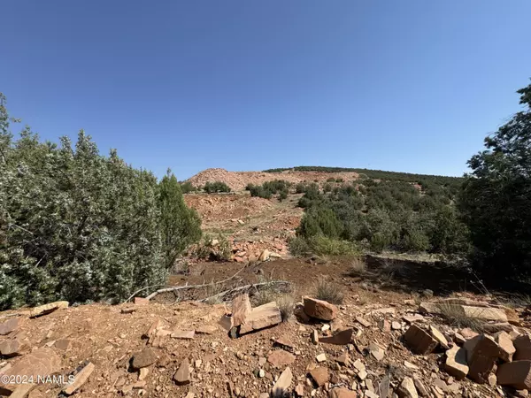 Ash Fork, AZ 86320,21 Parcel 205-20-021 Pineveta Road