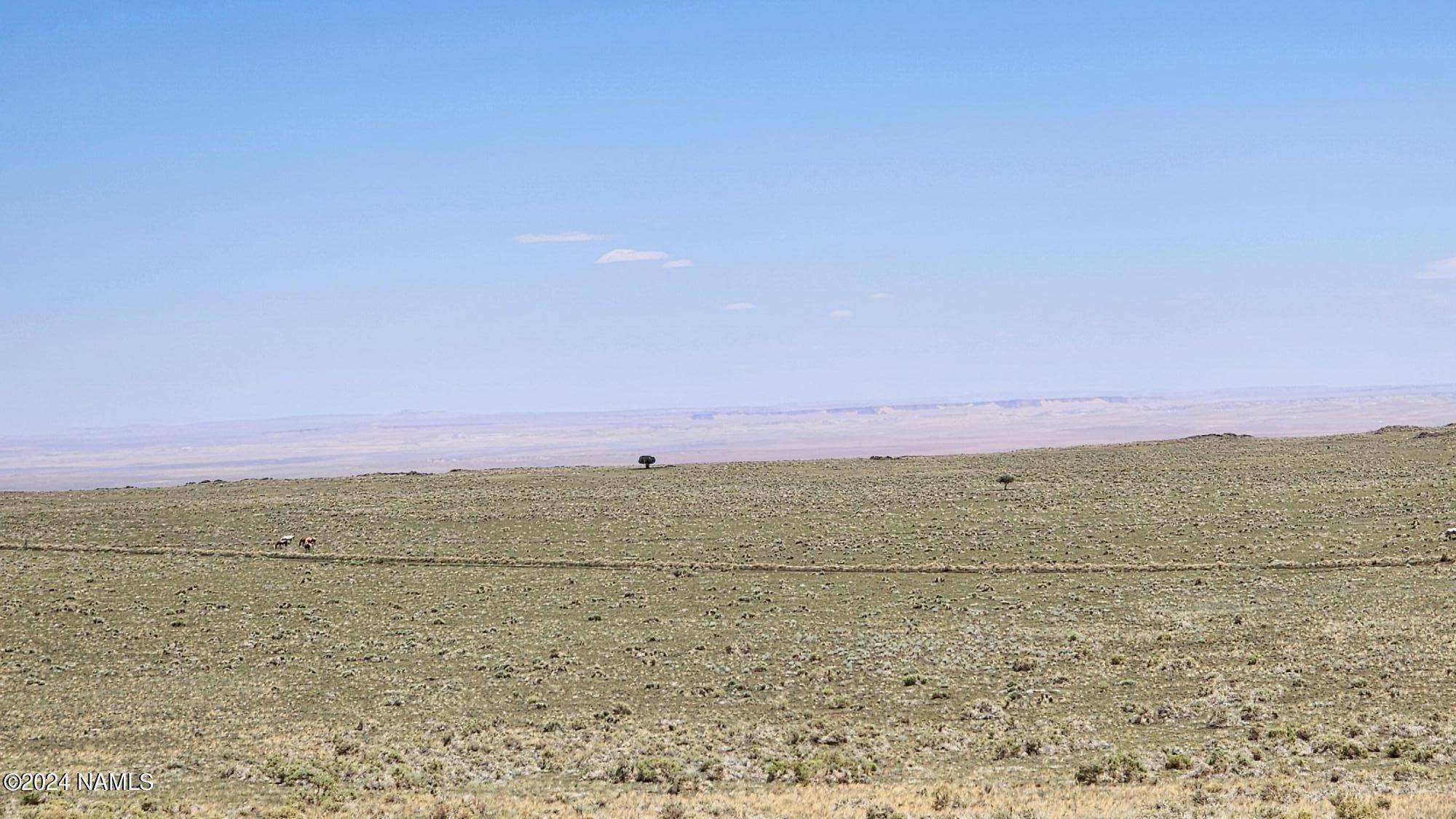Flagstaff, AZ 86004,30347063 Alpine Ranches