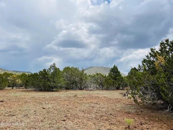 Williams, AZ 86046,10524 N Falcon Ridge Rd Lot B