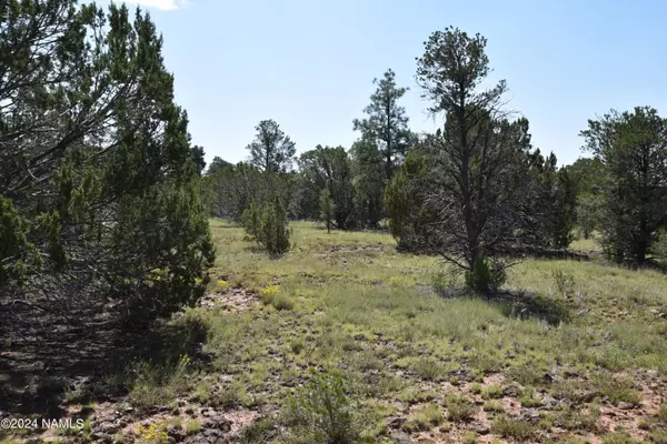 Williams, AZ 86046,279 E Key Circle #417