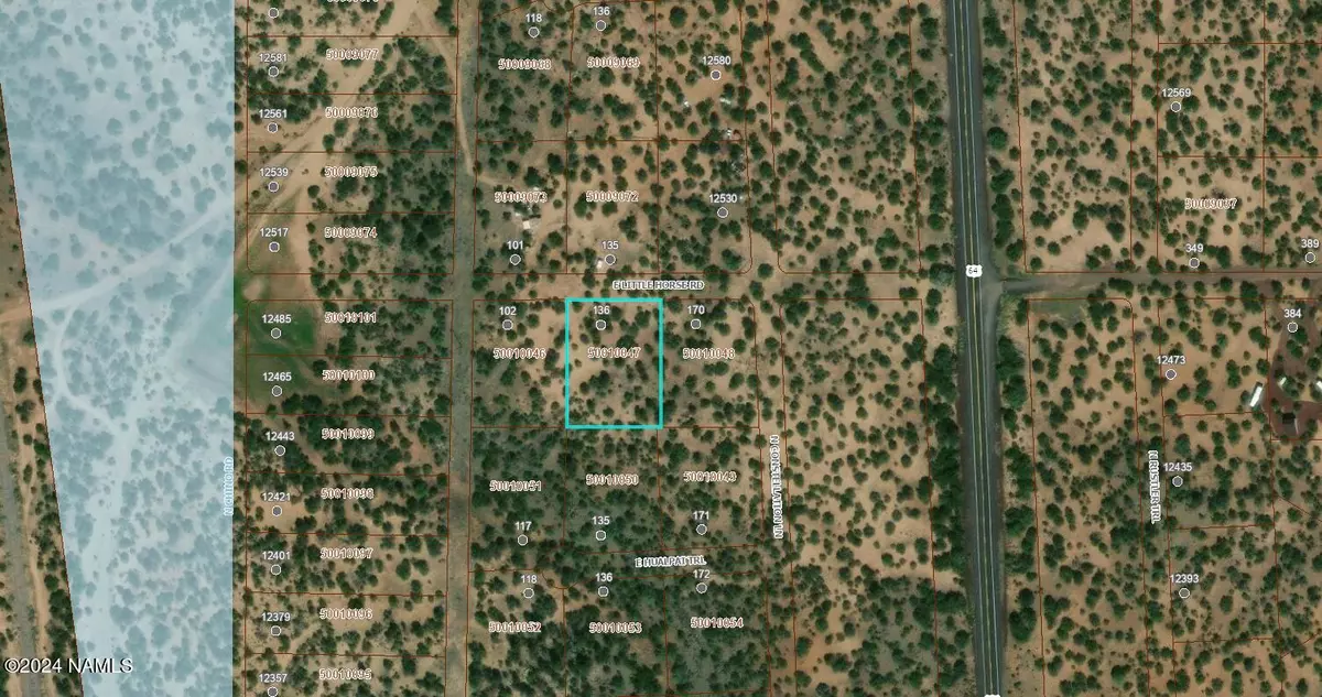 Williams, AZ 86046,136 E Little Horse Road #426