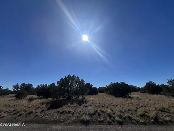 Flagstaff, AZ 86004,6 Leupp Road