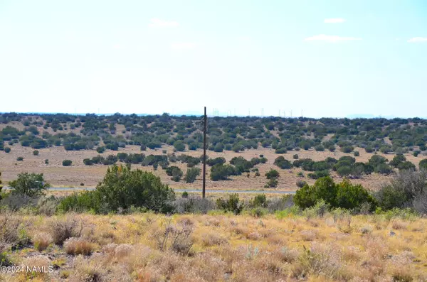 Williams, AZ 86046,11092 Howard Mesa Loop