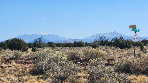 Williams, AZ 86046,3433 Red Butte Rd Lot B