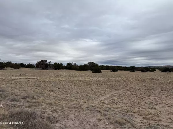 Seligman, AZ 86337,Sierra Verde Ranch