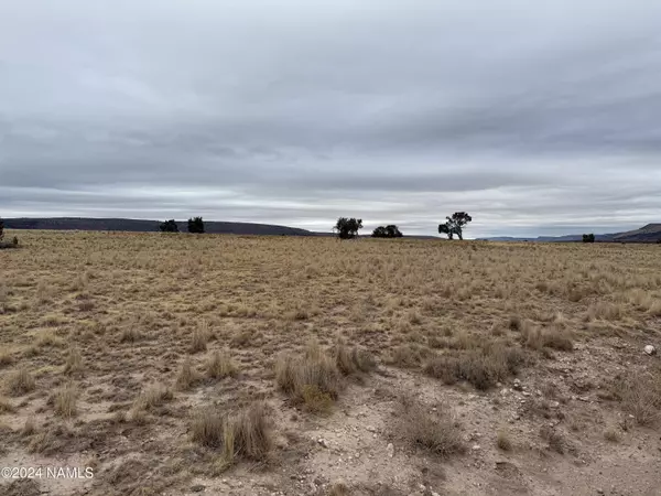 Seligman, AZ 86337,Sierra Verde Ranch