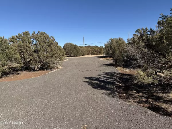 Williams, AZ 86046,7562 N Buck Ridge Road
