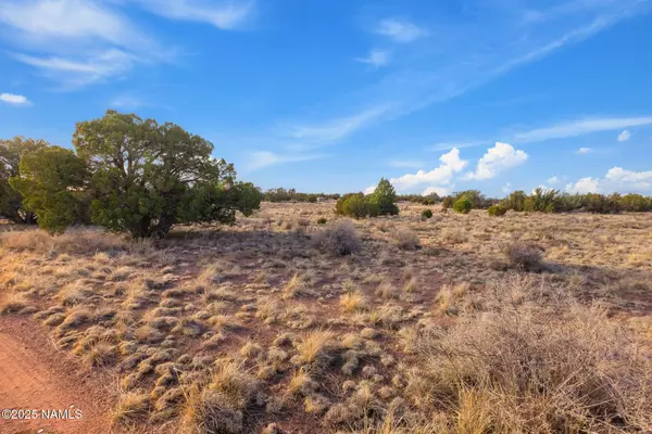 Williams, AZ 86046,3281 E Lampe Lane