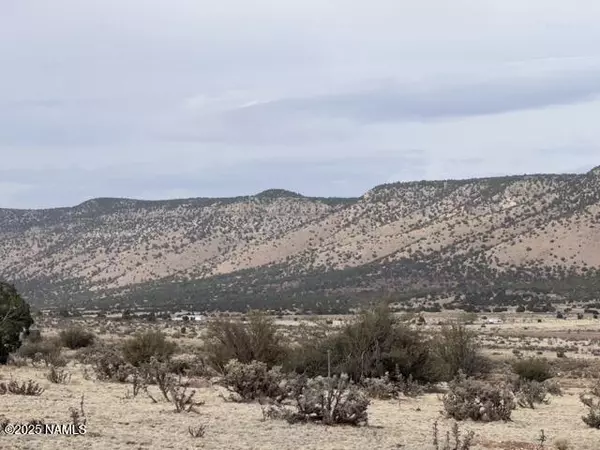 Seligman, AZ 86337,28181 W Foothill Drive