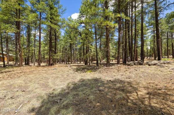 Williams, AZ 86046,7410 E Knighthood Lane