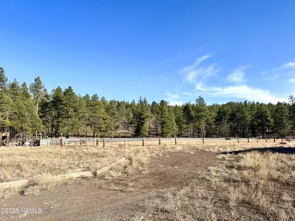 12405 Forest Service 772, Flagstaff, AZ 86005