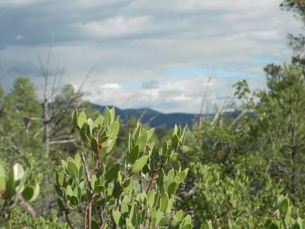 Payson, AZ 85541,2506 E FEATHER PLUME LN