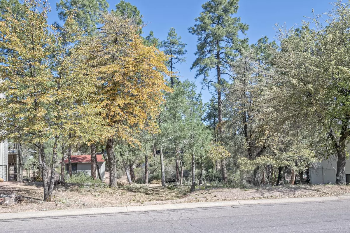 Payson, AZ 85541,512 W Overland RD