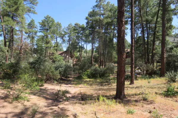 Payson, AZ 85541,512 W Overland RD