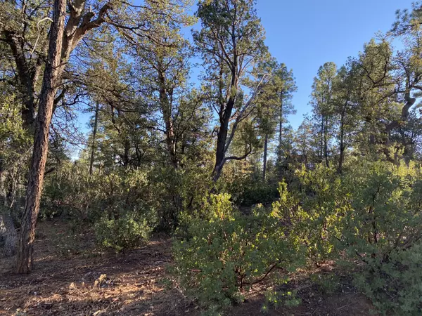 Pine, AZ 85544,Lot 27 Sage CT