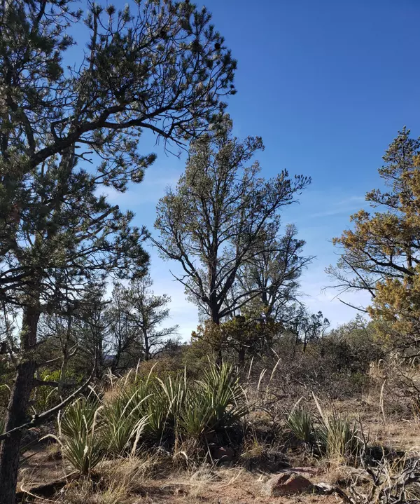 Young, AZ 85554,4R-4 N Ike Clark Pkwy