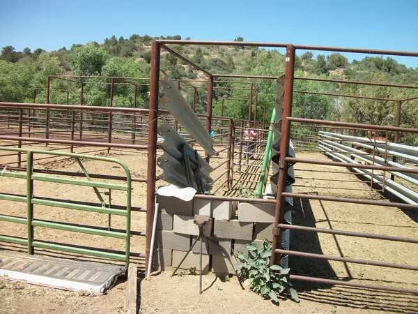 Globe, AZ 85501,491 S Forest Service Road #2312
