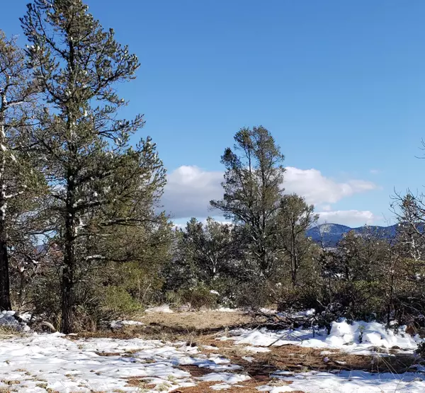 Young, AZ 85554,4R-5 N Ike Clark Pkwy