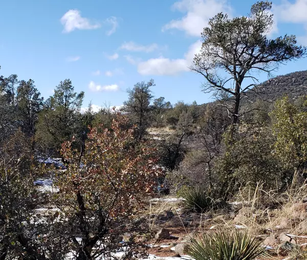 Young, AZ 85554,4R-5 N Ike Clark Pkwy