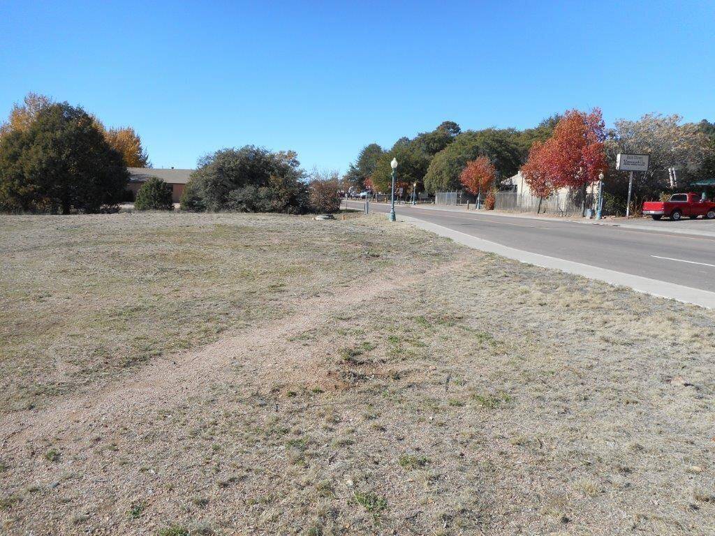 Payson, AZ 85541,213 W MAIN ST