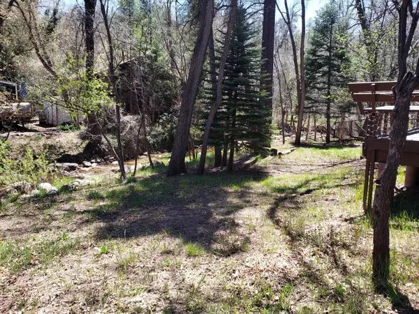 Christopher Creek, AZ 85541,597 W Ashby Apple DR