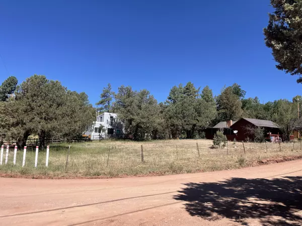 226 park, Payson, AZ 85541