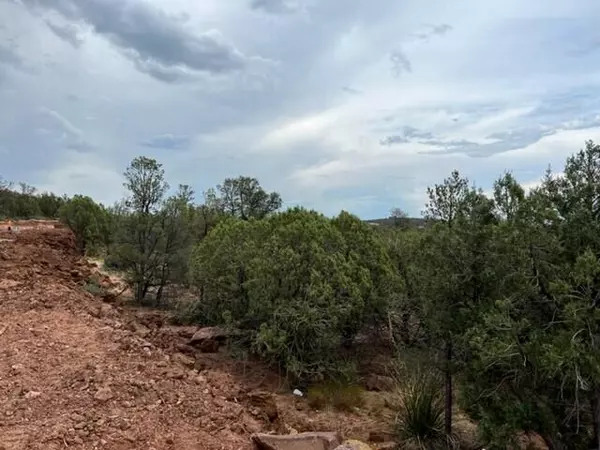 Payson, AZ 85541,523 N Peak Loop