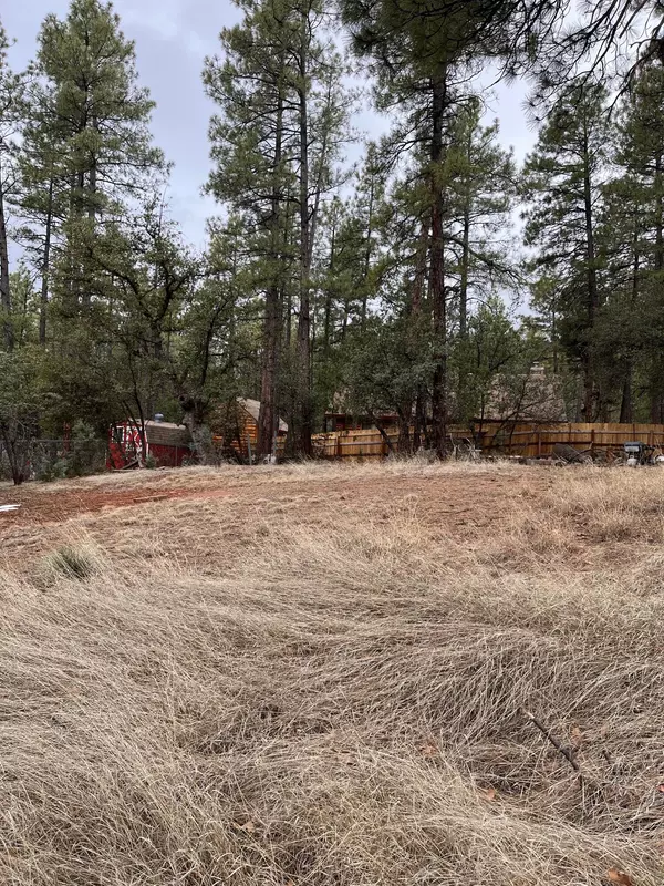 Pine, AZ 85544,173 HUNT DR