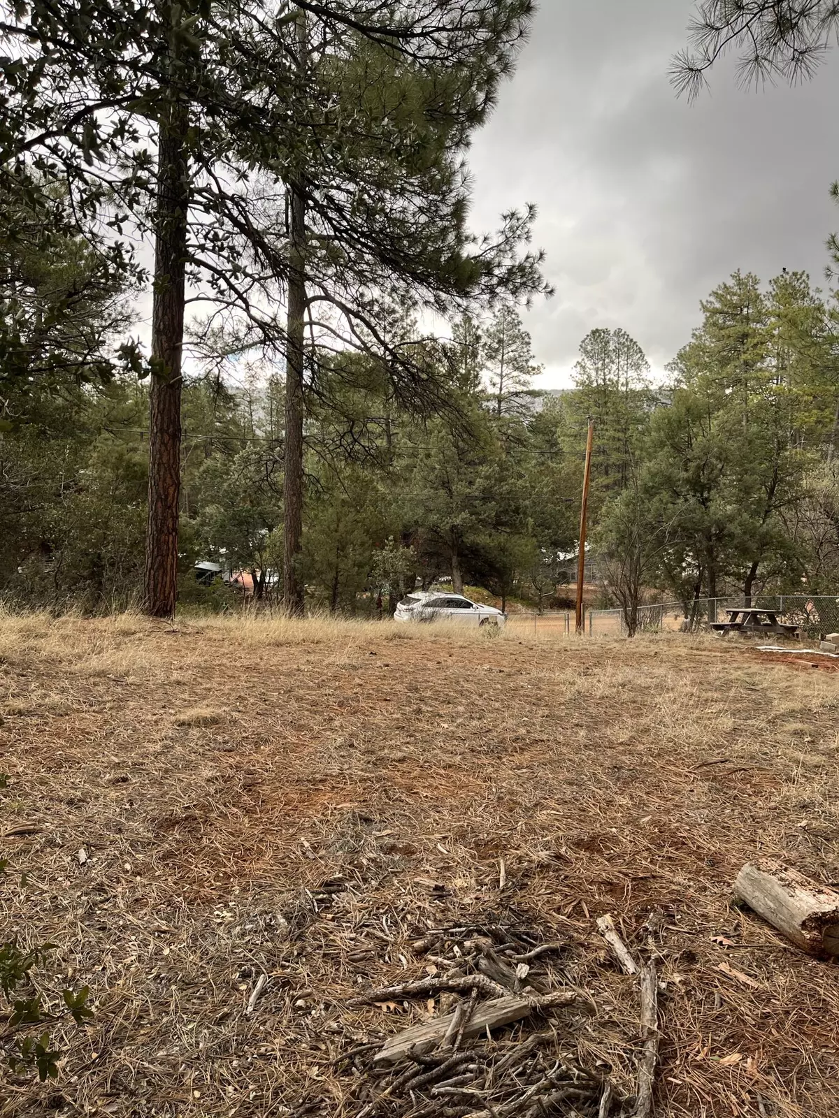 Pine, AZ 85544,173 HUNT DR