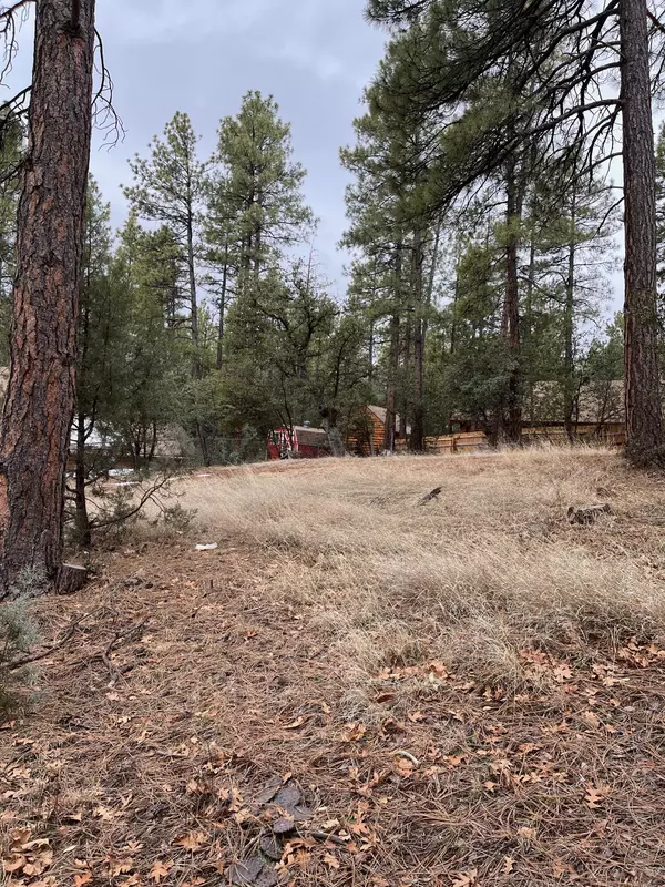 Pine, AZ 85544,173 HUNT DR