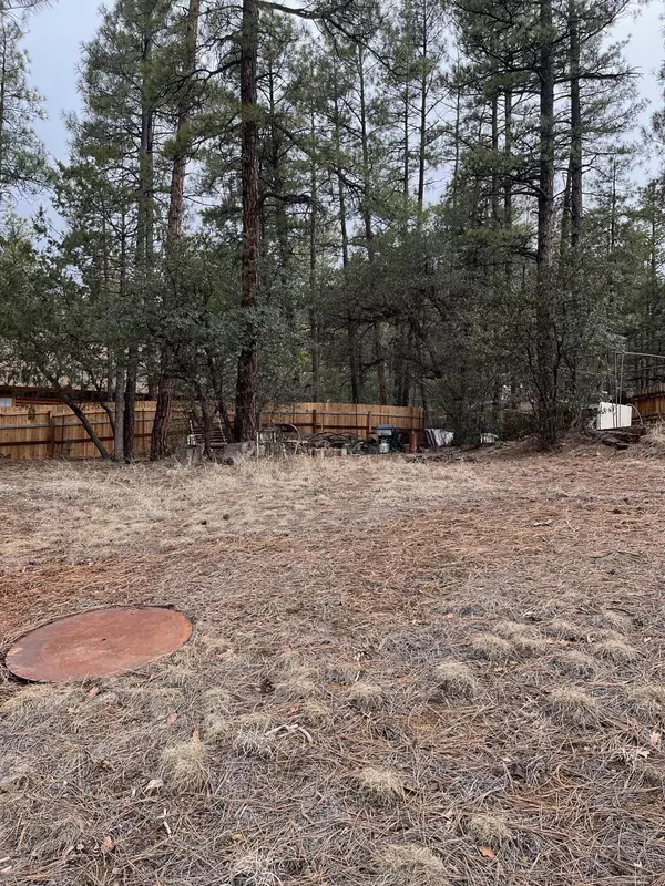 Pine, AZ 85544,173 HUNT DR