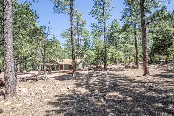 Pine, AZ 85544,4441 MOGOLLON DR