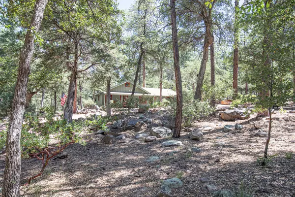 Pine, AZ 85544,4441 MOGOLLON DR