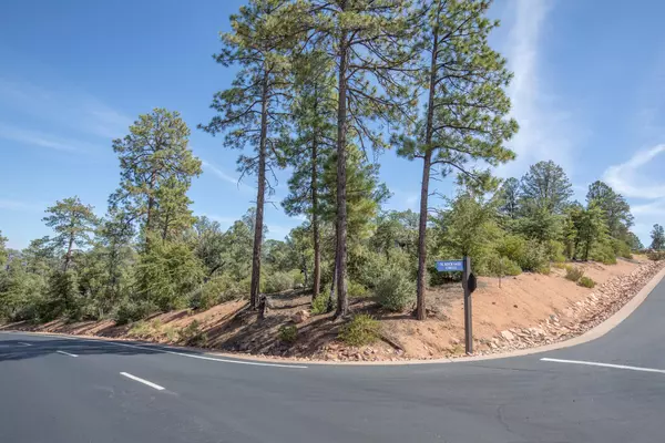 Payson, AZ 85541,709 N ROCK SAGE CIR