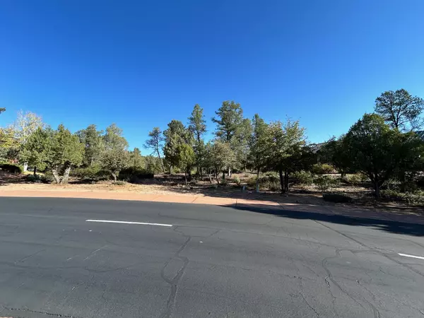 Payson, AZ 85541,1003 N Scenic DR
