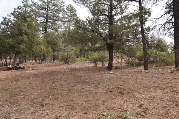 Pine, AZ 85544,0000 N Mistletoe DR
