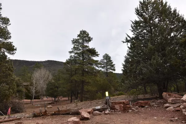 Pine, AZ 85544,0000 N Mistletoe DR