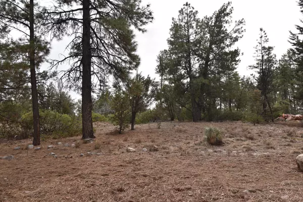 Pine, AZ 85544,0000 N Mistletoe DR