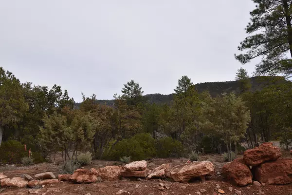 0000 N Mistletoe DR, Pine, AZ 85544