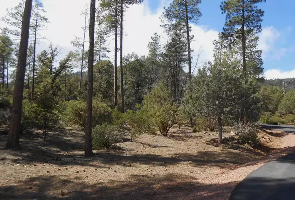 Pine, AZ 85544,26 W Sage CT