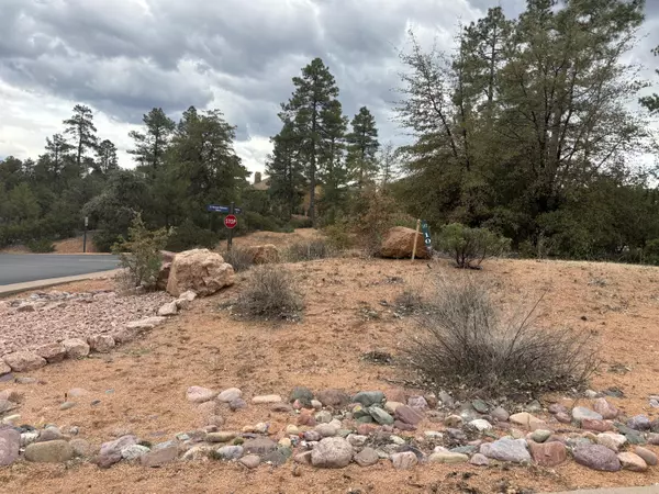 Payson, AZ 85541,900 N AUTUMN SAGE CT