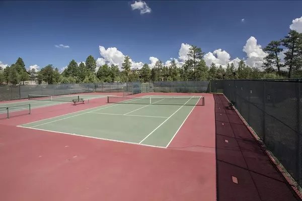 Payson, AZ 85541,900 N AUTUMN SAGE CT