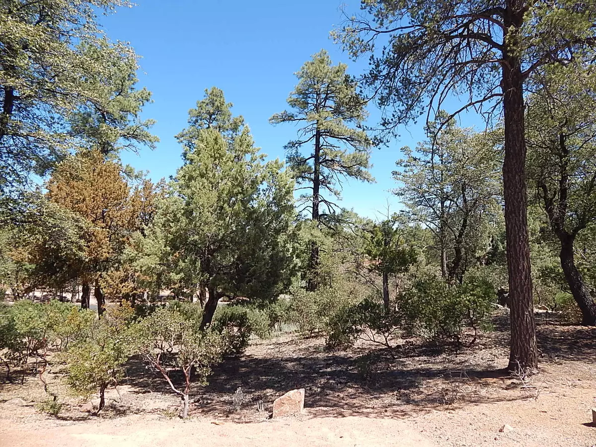 Payson, AZ 85541,2307 E Indian Pink CIR
