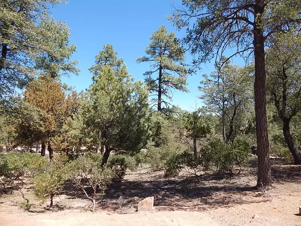 2307 E Indian Pink CIR, Payson, AZ 85541